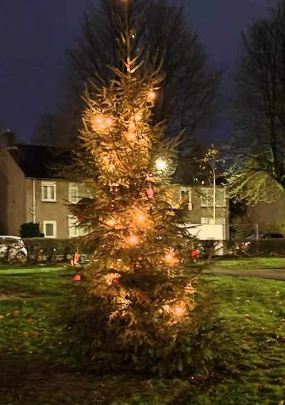 Waterhoef heeft een mooie wens Kerstboom