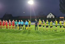 Nemelaer Haaren verliest van Goes