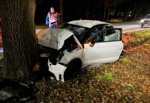 Auto botst tegen boom op N65 Haaren Oisterwijk