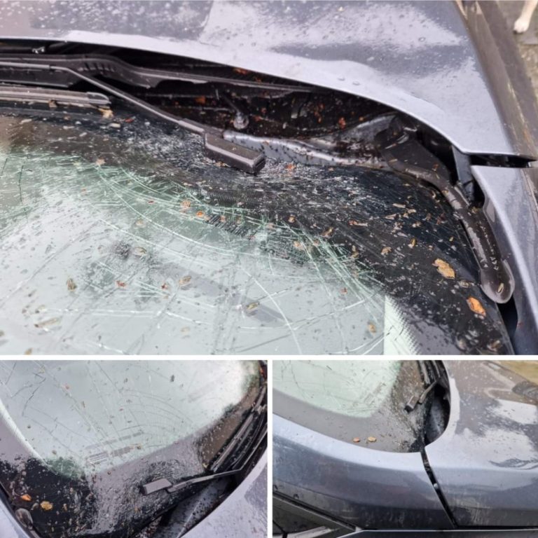 Auto gesloopt en dader gevlogen (Update)