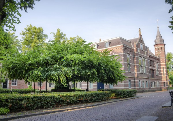 Oisterwijk in Europese verkiezing met Boom van het Jaar