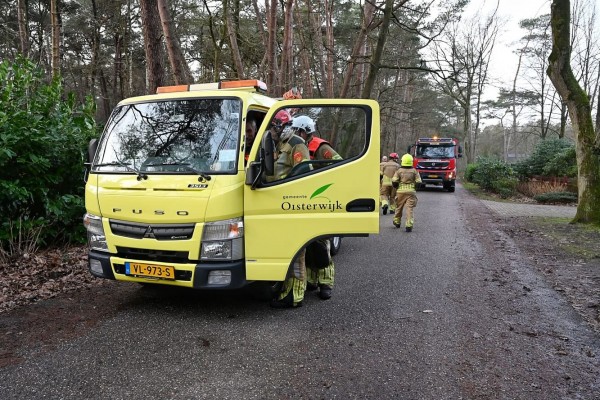 Boom blijkt al jaren scheef te staan maar krijgt nu wel de benodigde aandacht