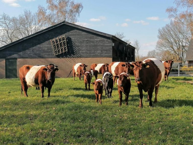 O’ wat ben je mooi