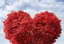 Valentijnsconcert door leerlingen in Lodewijkskerkje Oisterwijk