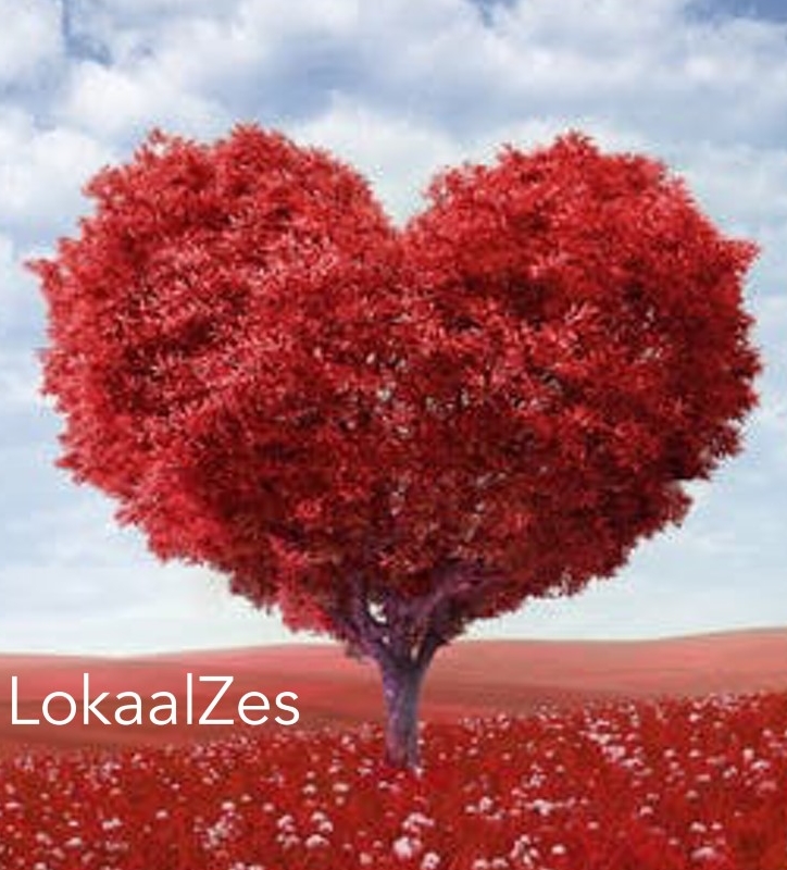 Valentijnsconcert door leerlingen in Lodewijkskerkje Oisterwijk