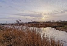 O’ wat ben je mooi