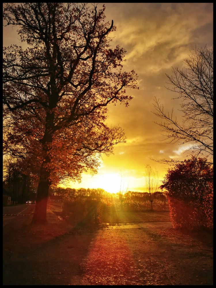 O’ wat ben je mooi