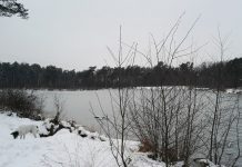 O’ wat ben je mooi