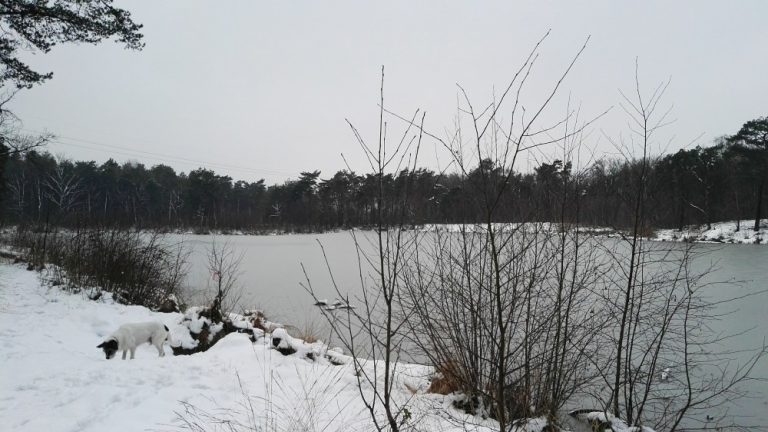 O’ wat ben je mooi