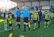 Nemelaer Haaren verliest van Halsteren