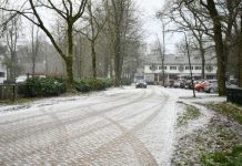 Oisterwijk kleurt wit