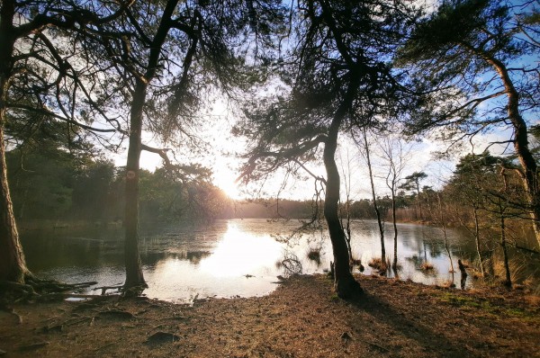 O’ wat ben je mooi