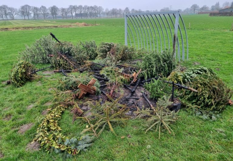 Opnieuw gaat een stapel kerstbomen in de hens