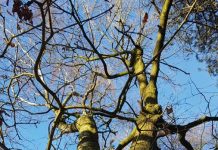 O’ wat ben je mooi