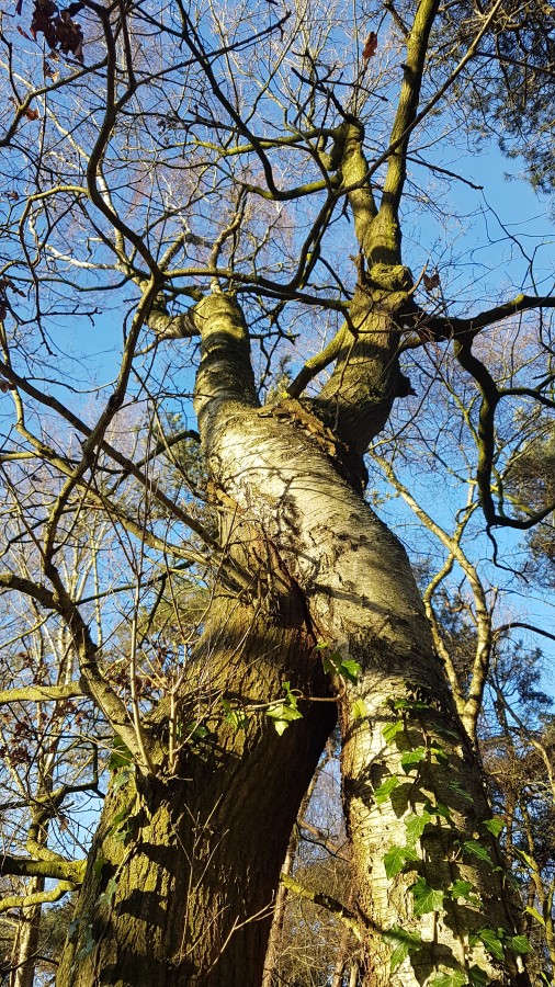 O’ wat ben je mooi