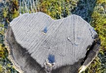 O’ wat ben je mooi