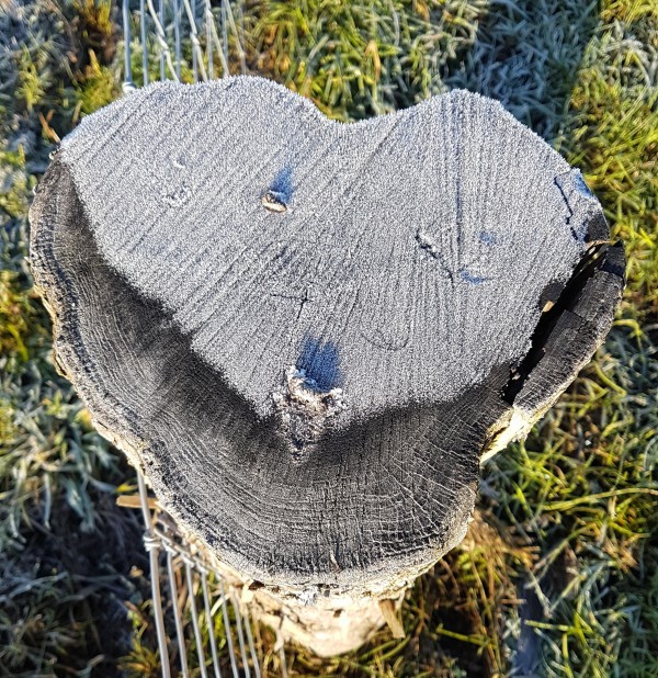 O’ wat ben je mooi