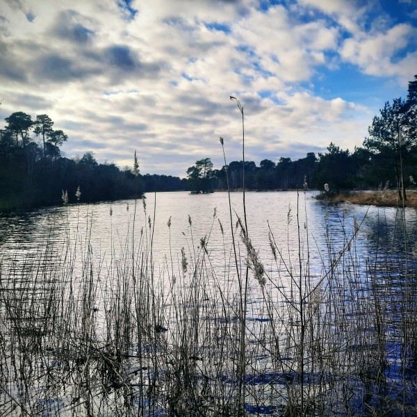 O’ wat ben je mooi