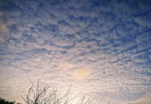 O’ wat ben je mooi