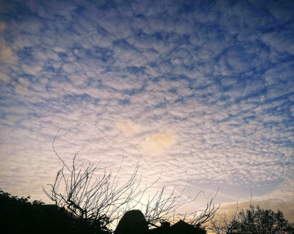 O’ wat ben je mooi