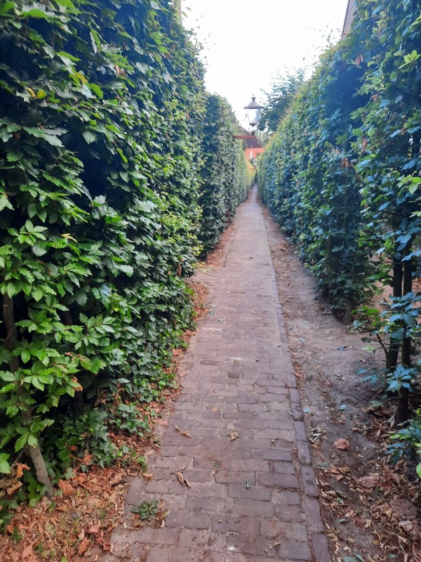 O’ wat ben je mooi