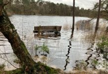 O’ wat ben je mooi