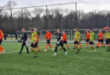 Nemelaer Haaren haalt bij Wittenhorst gelijkspel