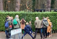 Taverne De Posthoorn organiseert wandeling met de boswachter *