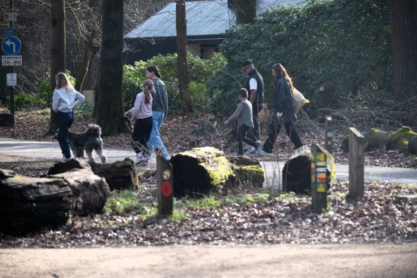 Heerlijk voorjaar is begonnen met bezoek Oisterwijkse bossen