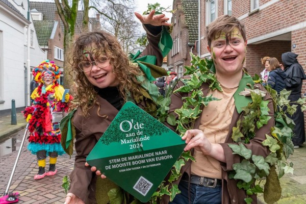 Oisterwijkse Marialinde of Oude linde geen Europese boom van het jaar