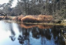 O’ wat ben je mooi