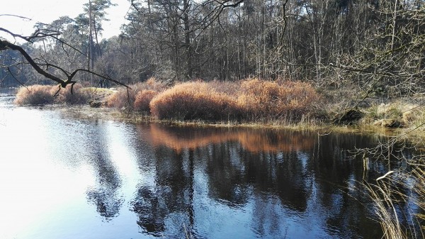 O’ wat ben je mooi