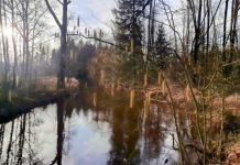 O’ wat ben je mooi