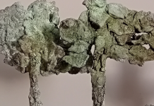 Nieuwe expositie in De Verdieping Moergestel