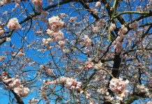 O’ wat ben je mooi