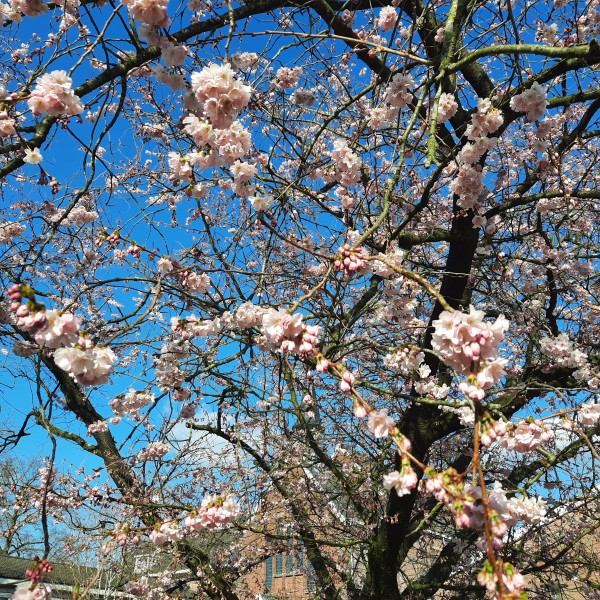 O’ wat ben je mooi