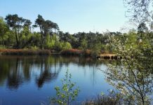 O’ wat ben je mooi