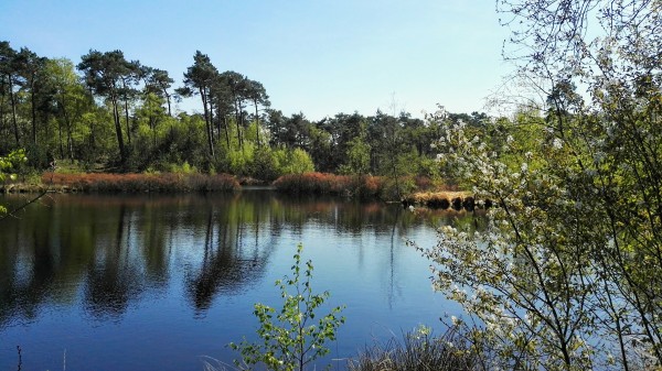 O’ wat ben je mooi