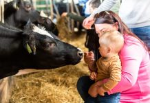Boer Moergestel doet mee met Open Boerderijdagen