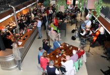 Paradepaardje van Oisterwijk hotel KVL loopt niet