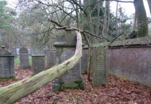 Iedere vrijdag is Joodse Begraafplaats Oisterwijk open voor publiek