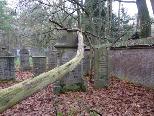 Iedere vrijdag is Joodse Begraafplaats Oisterwijk open voor publiek