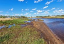 O’ wat ben je mooi