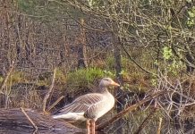 O’ wat ben je mooi