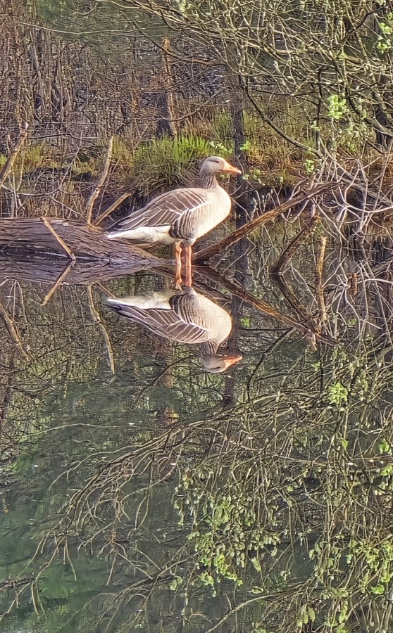 O’ wat ben je mooi
