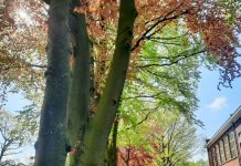 O’ wat ben je mooi