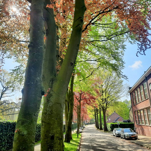 O’ wat ben je mooi