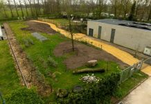 Groene Eekhoorn prijs voor Scouting Moergestel