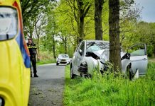 Auto tegen boom na oversteken haas in Oisterwijk