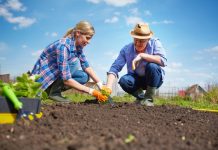Gezond, Fit en Lekker in je Vel in Moergestel